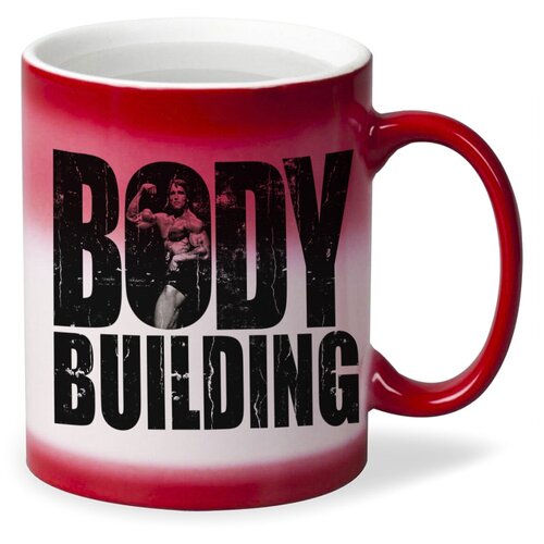   CoolPodarok Bodybuilding (),  320