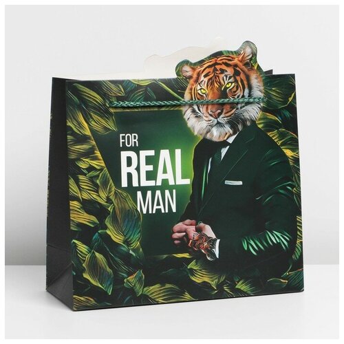 ����� ���������� �Real Man�, 25 ? 26 ? 10 ��, ���� 180�