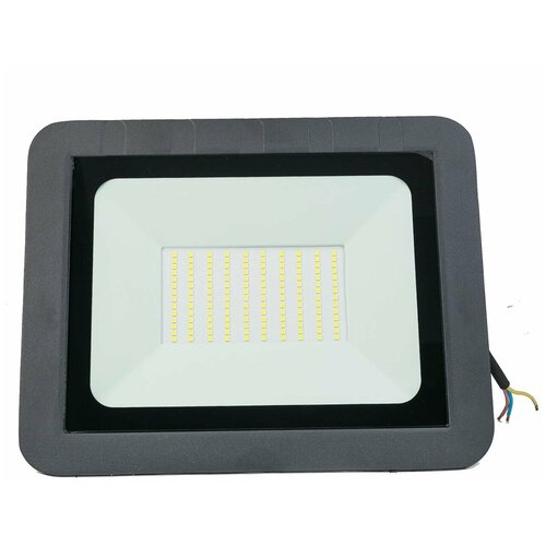    LED FL 100W65 .,  1712