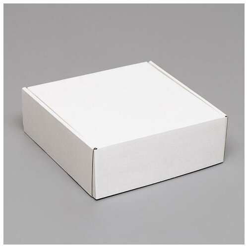 ������� �����������, �����, 23x23x8 ��./� �������� ��: 5, ���� 900�