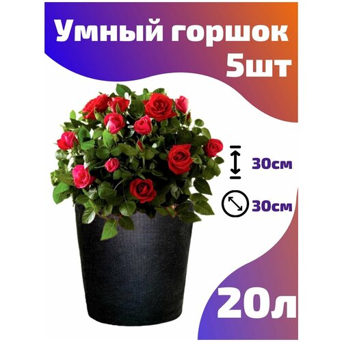    , ,  Smart Pot - 20  5 .,  1050