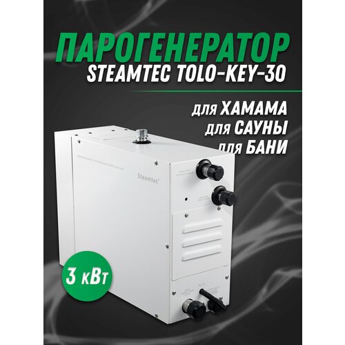 ������������� ��� ������ Steamtec TOLO-30-KEY (3 ���), 220�, ���� 69800�