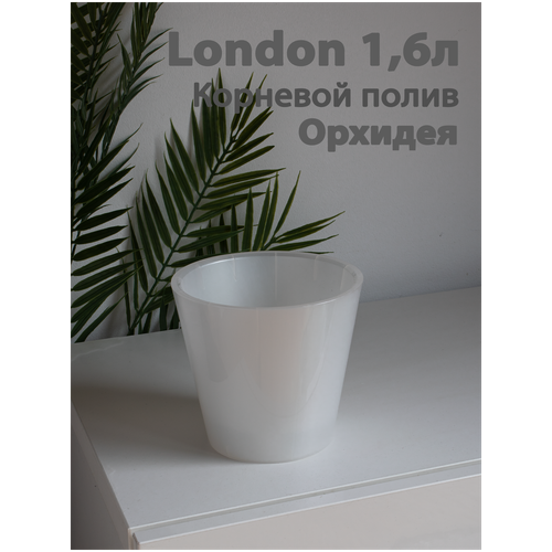    London Orchid Deco 16 , 1,6 ,  ,  305