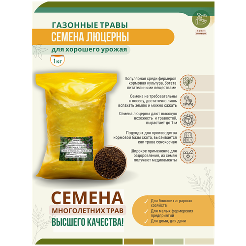Семена Люцерны 1 кг для посадки, цена 620р