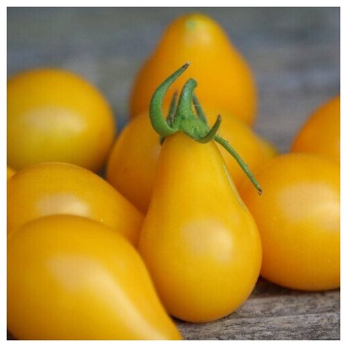    (. Tomato Yellow Pear)  10,  310