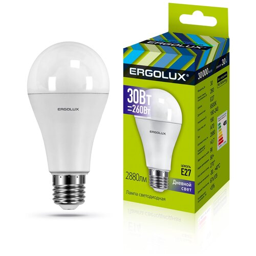 (.   30 E27 6500K 180-240), ERGOLUX LED-A70-30W-E27-6K (5 .),  1453