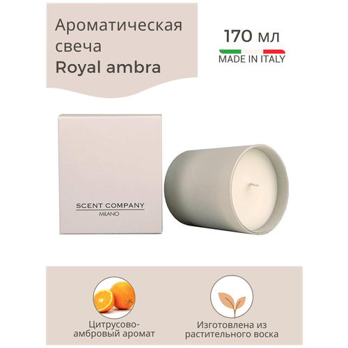   ROYAL AMBRA ( ) 170,  4800