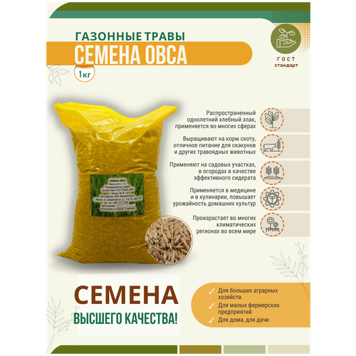 Семена овса - 1 кг Мосагрогрупп, цена 240р