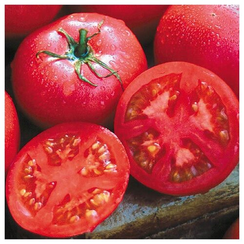     (. Tomato Purple)  10,  340