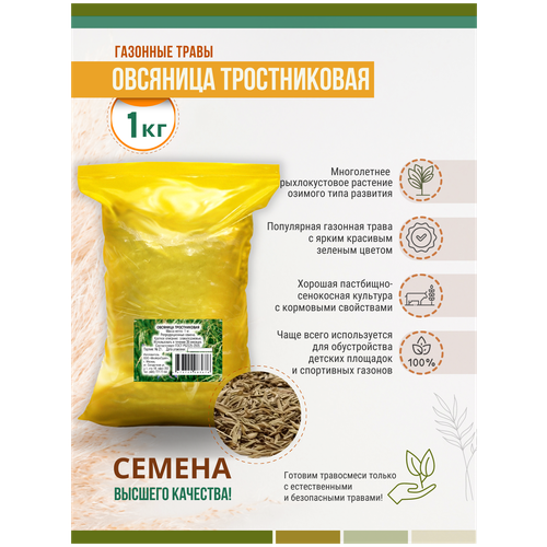 Семена Овсяницы Тростниковой 1 кг сенокосная Мосагрогрупп МАС000030, цена 510р