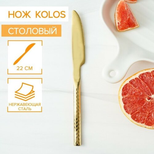      Magistro Kolos, h=22 ,  ,  550