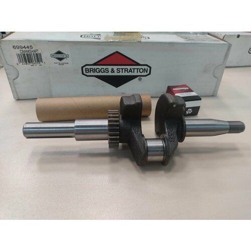   126410 (693887) - ( 699445) BRIGGS&STRATTON,  12000