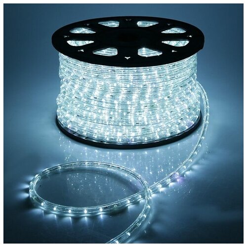   Luazon Lighting 13 , IP65, 100 , 36 LED/, 220 , 2W, ,  ,  21912