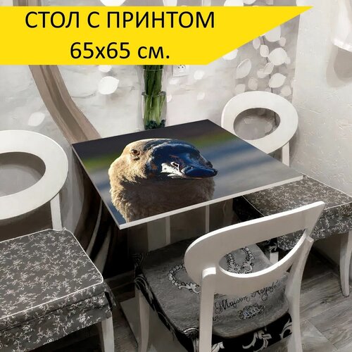 ���� 