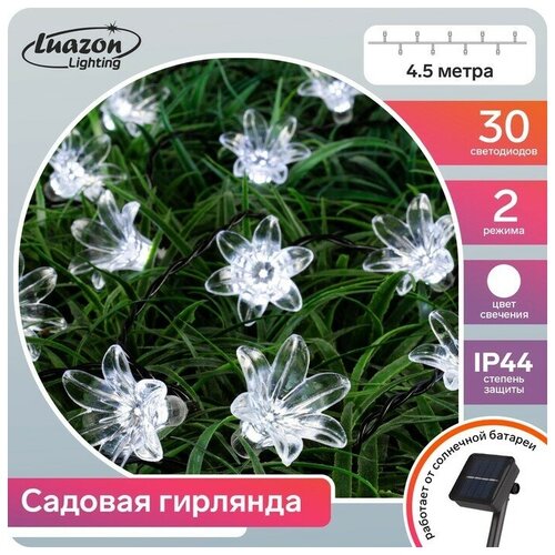   4.5    , IP44,  , 30 LED,  , 2 ,  ,  682