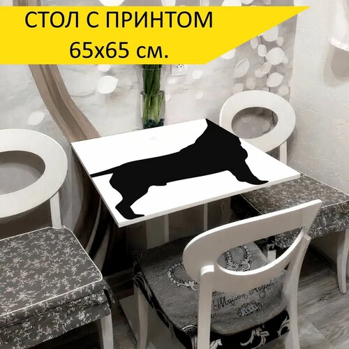 ���� 