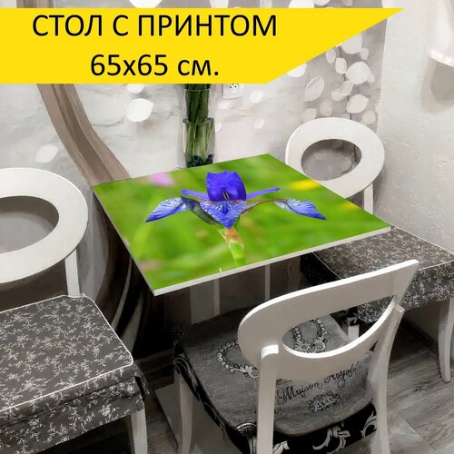 ���� 
