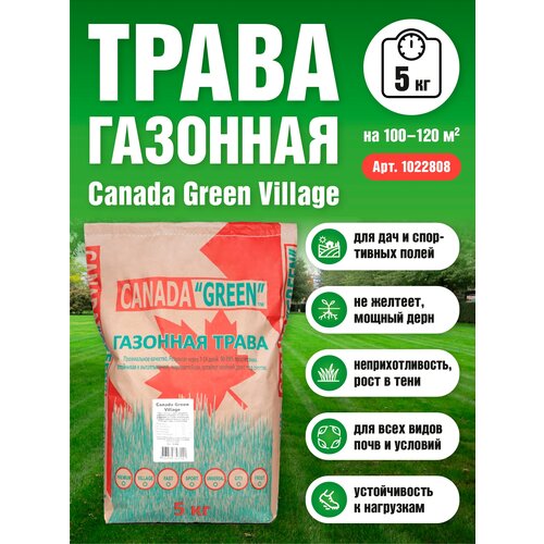 Газонная трава семена Канада Грин Дачный Village 15 кг/ мятлик, райграс, овсяница семена для газона, цена 4201р