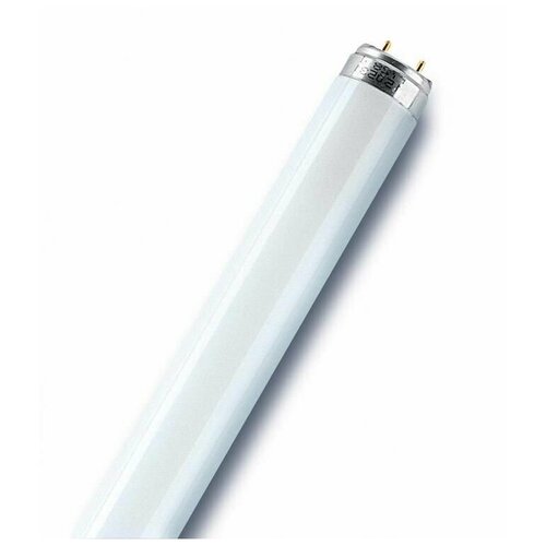   L 36W/76 NATURA DE LUXE 36 T8 3500 G13 OSRAM 4050300010526,  911