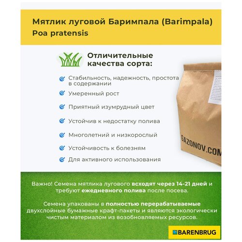 Семена газона Мятлик луговой сорт Баримпала Barenbrug (3 кг), цена 4500р